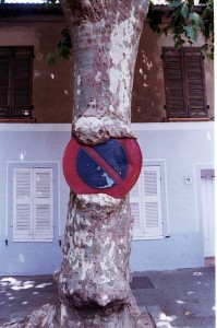 no_parking no parking