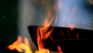 roasting-pan roasting-pan